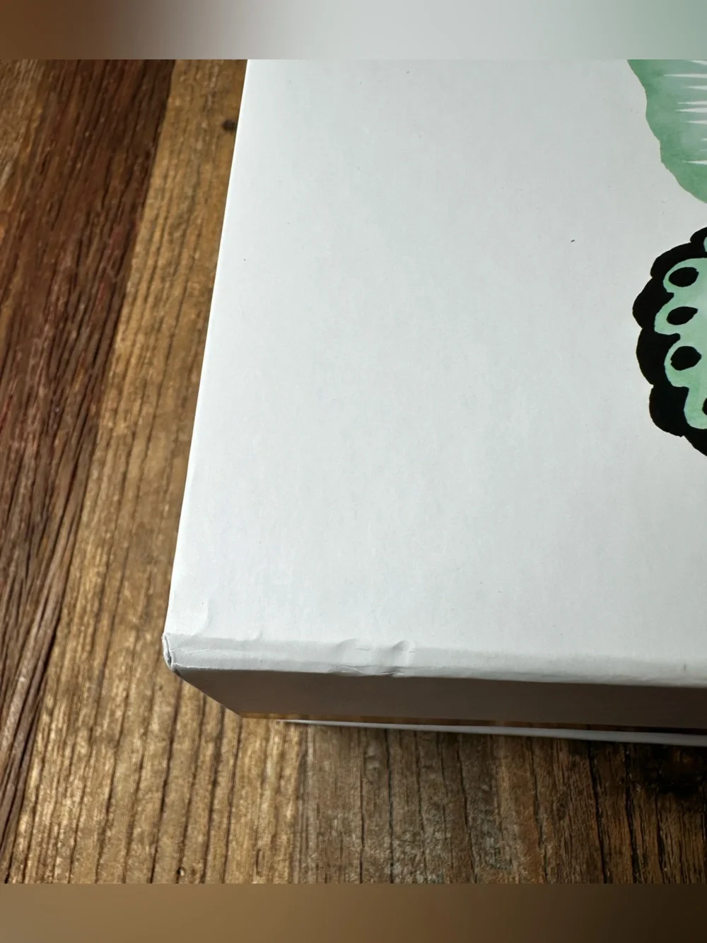 Butterfly Canvas Storage Box Set - Mint Green & Coral